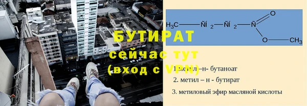 индика Горнозаводск