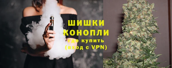 индика Горнозаводск