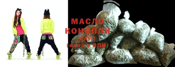 индика Горнозаводск