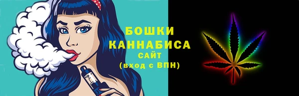 индика Горнозаводск