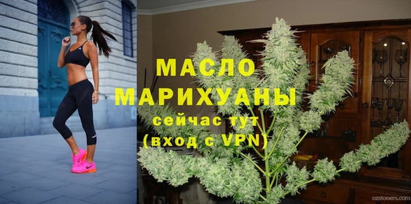индика Горнозаводск