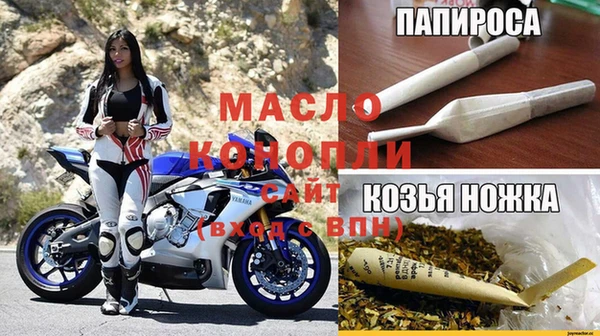 индика Горнозаводск