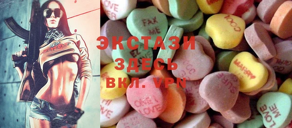индика Горнозаводск