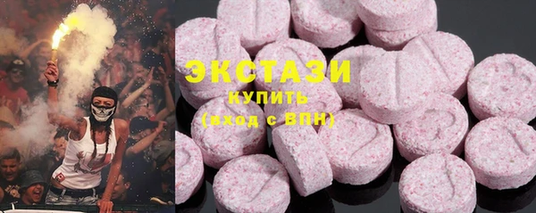 индика Горнозаводск