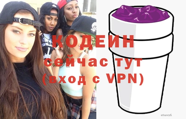 индика Горнозаводск