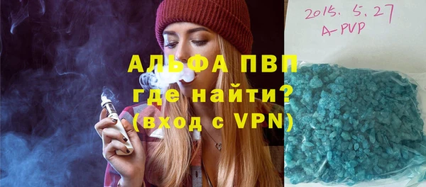 индика Горнозаводск