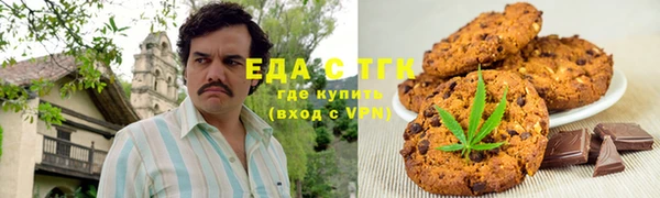 индика Горнозаводск