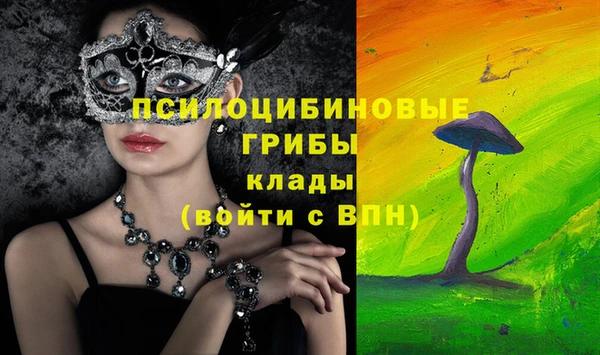 apvp Вяземский